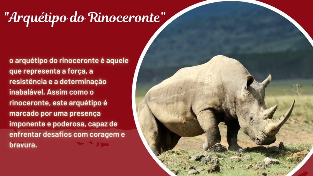 Arquétipo do Rinoceronte